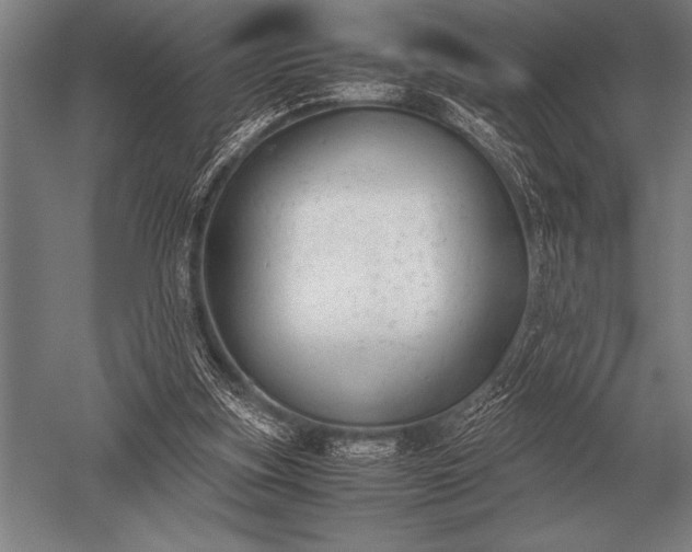 X0000052610155200507081855