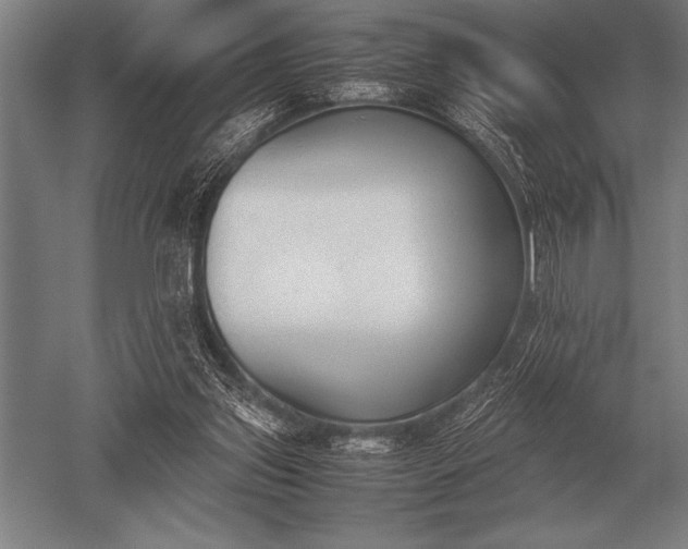 X0000052610157200507081855