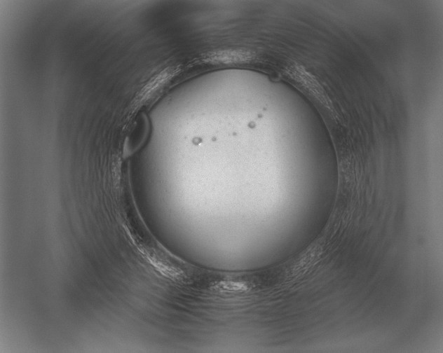 X0000052610159200507081855