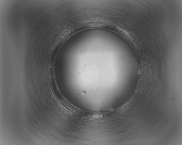 X0000052610162200507081855