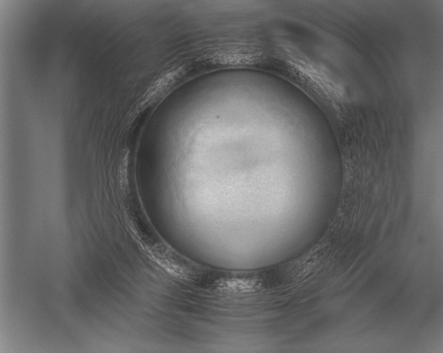 X0000052610163200507081855