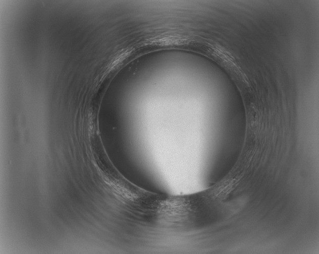 X0000052610164200507081855