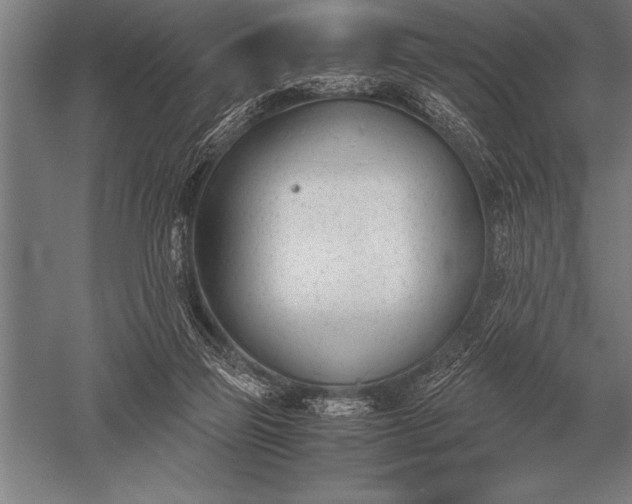 X0000052610165200507081855