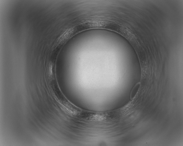 X0000052610166200507081856