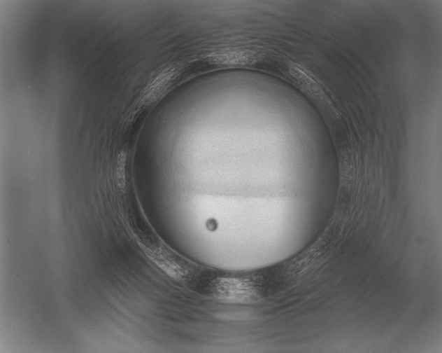 X0000052610167200507081856