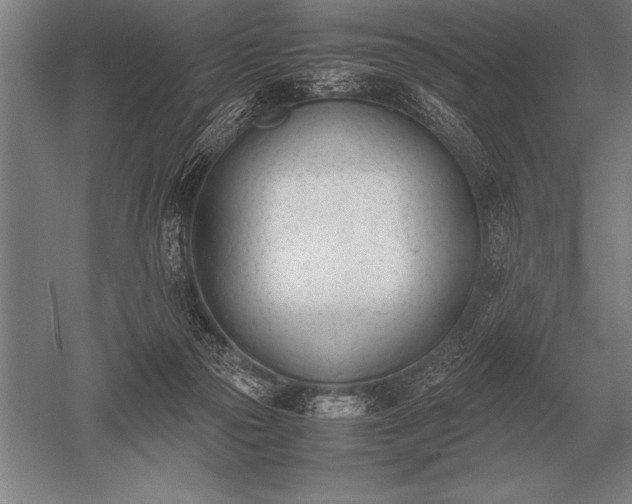 X0000052610169200507081856