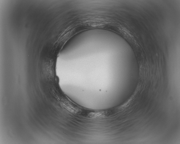 X0000052610170200507081856