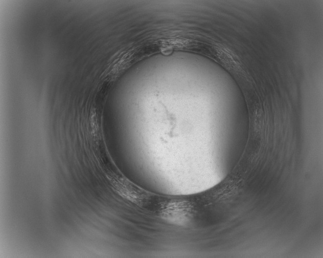 X0000052610173200507081856