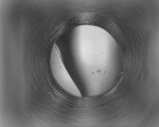 X0000052610174200507081856