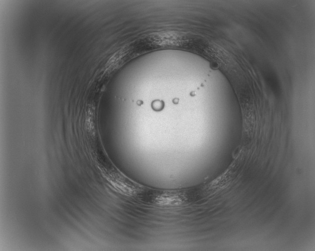 X0000052610175200507081856