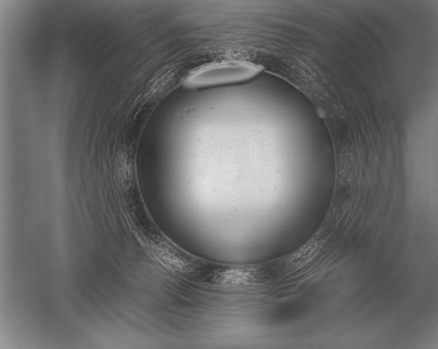 X0000052610176200507081856