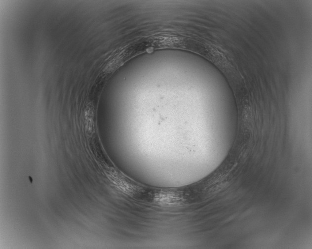 X0000052610177200507081856