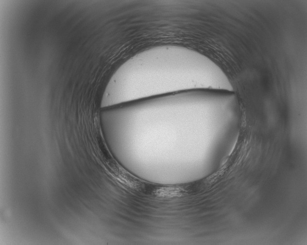 X0000052610179200507081856