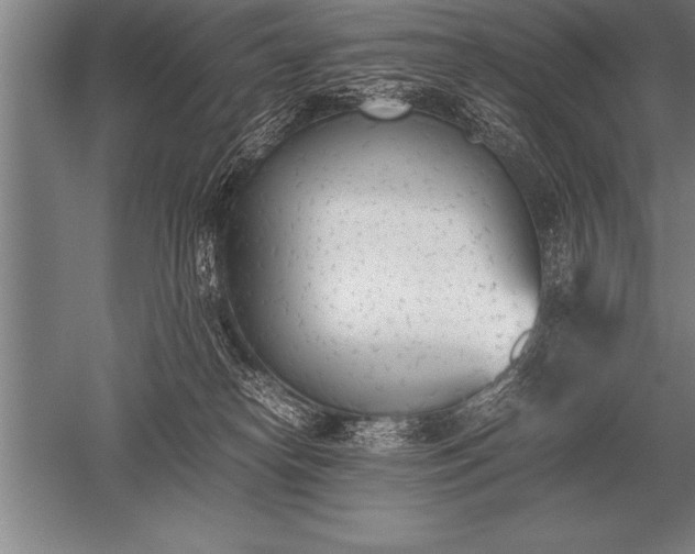 X0000052610182200507081856