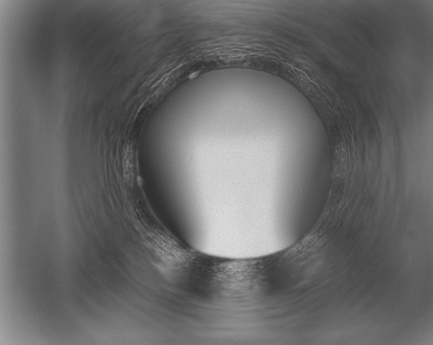 X0000052610184200507081856