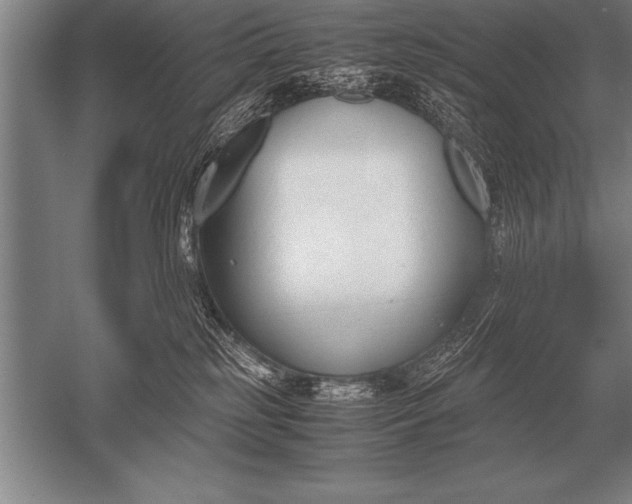 X0000052610185200507081856