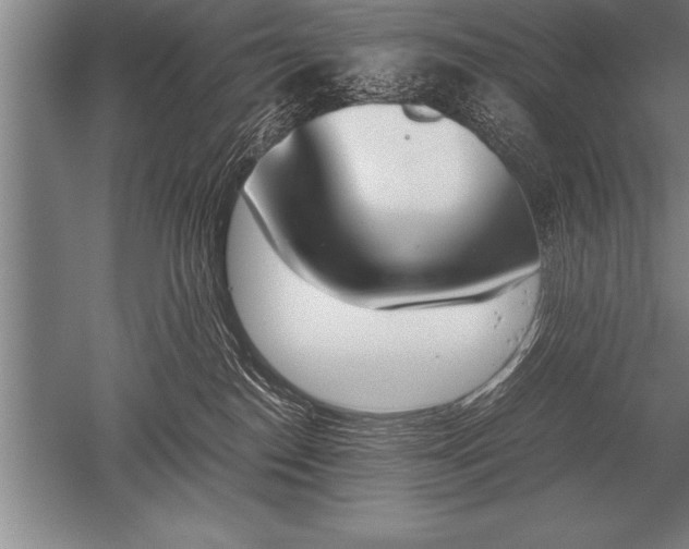 X0000052610186200507081856