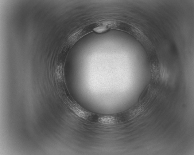 X0000052610189200507081856