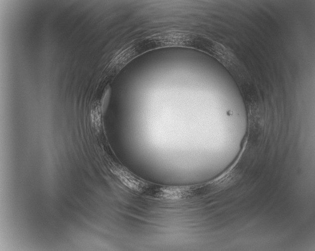 X0000052610190200507081856