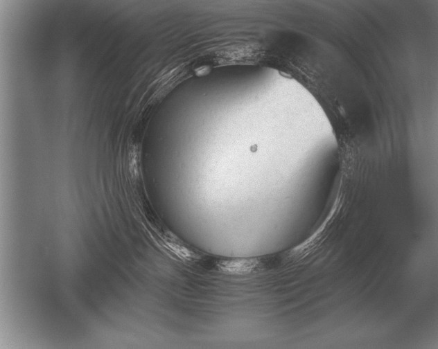 X0000052610191200507081856