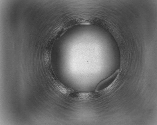 X0000052610192200507081856