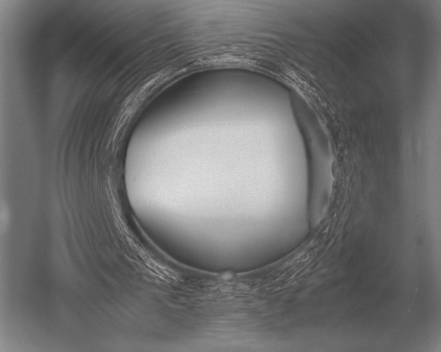 X0000052610193200507081855