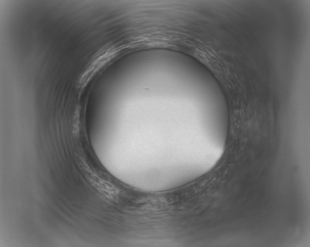 X0000052610194200507081855