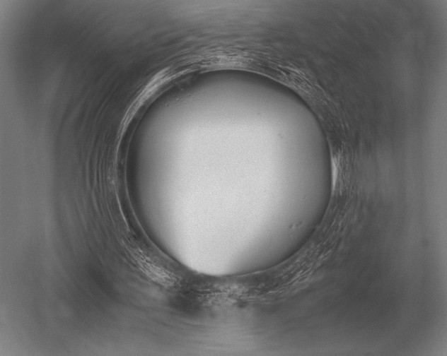 X0000052610195200507081855