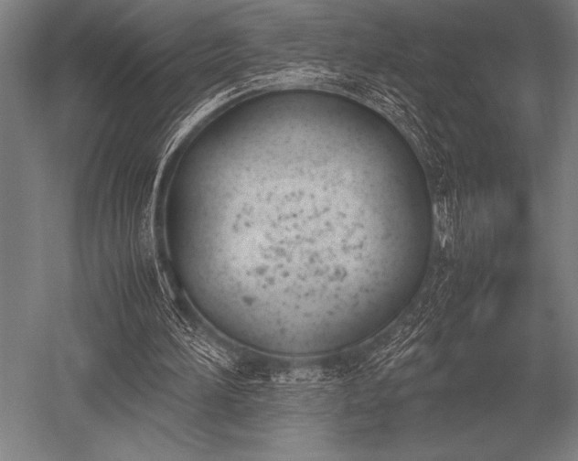 X0000052610196200507081855