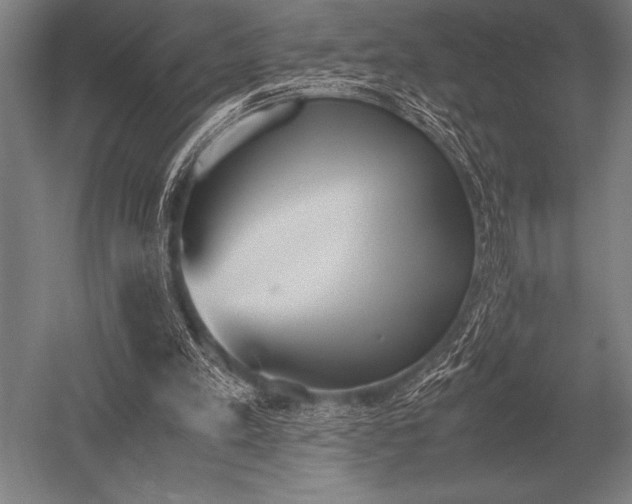 X0000052610197200507081855