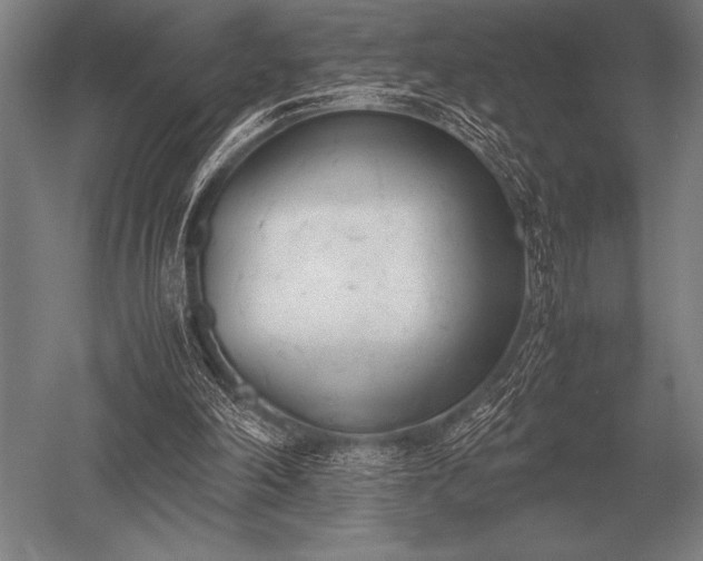 X0000052610198200507081855