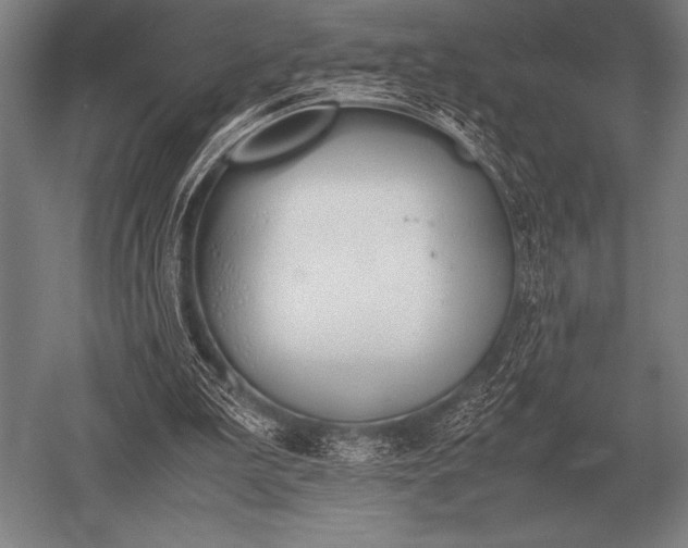 X0000052610199200507081855