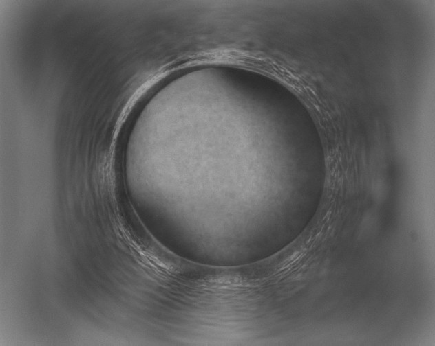 X0000052610200200507081855