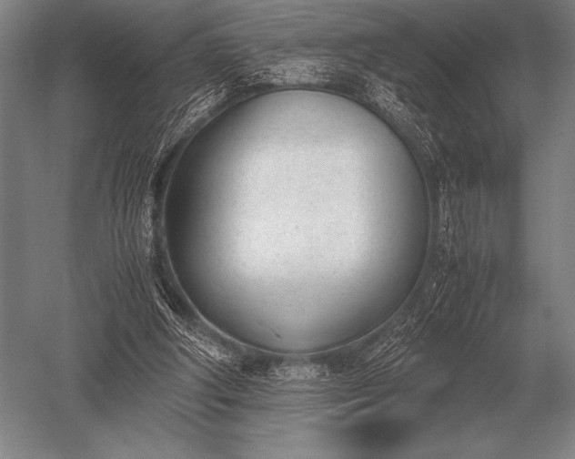 X0000052610202200507081855