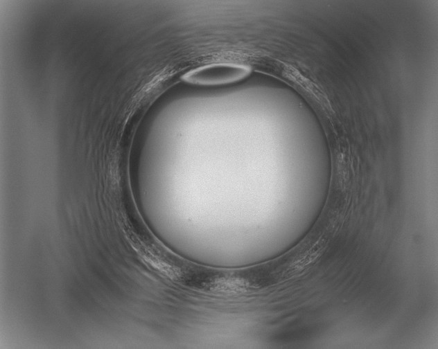 X0000052610203200507081855