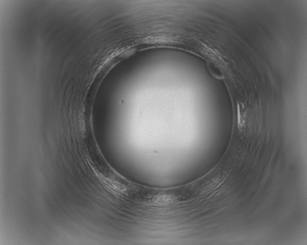 X0000052610204200507081855