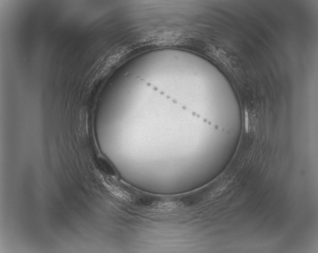 X0000052610205200507081855