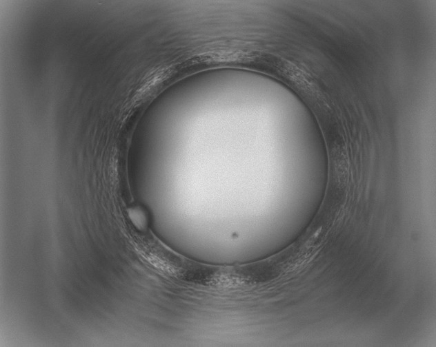 X0000052610207200507081855