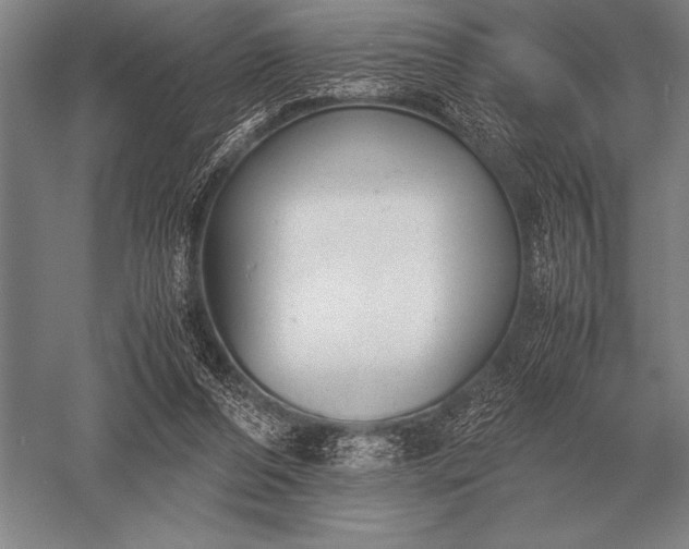 X0000052610208200507081855