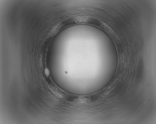 X0000052610209200507081855