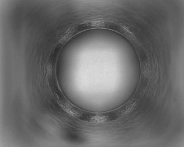 X0000052610213200507081855