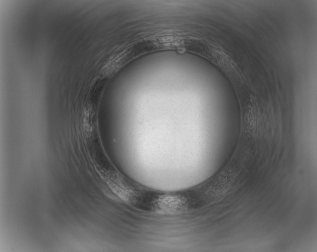 X0000052610218200507081855