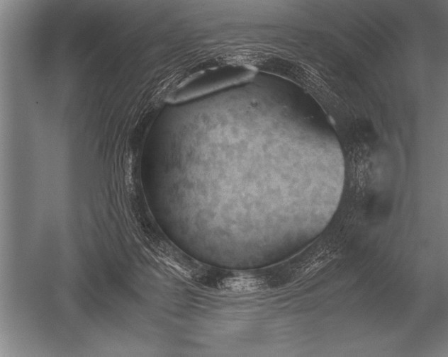 X0000052610219200507081855