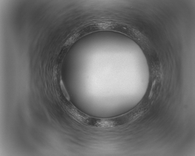 X0000052610221200507081855