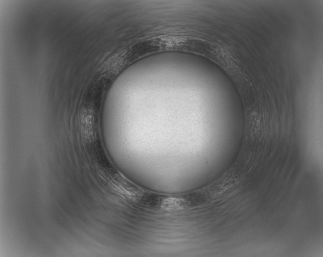 X0000052610222200507081855