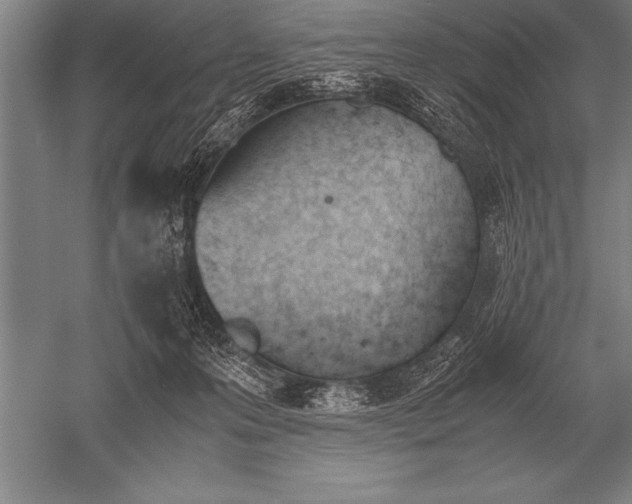 X0000052610223200507081855