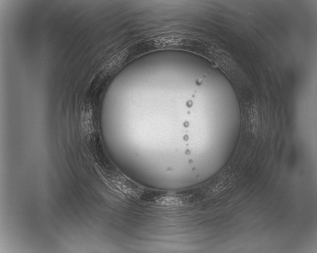 X0000052610224200507081855