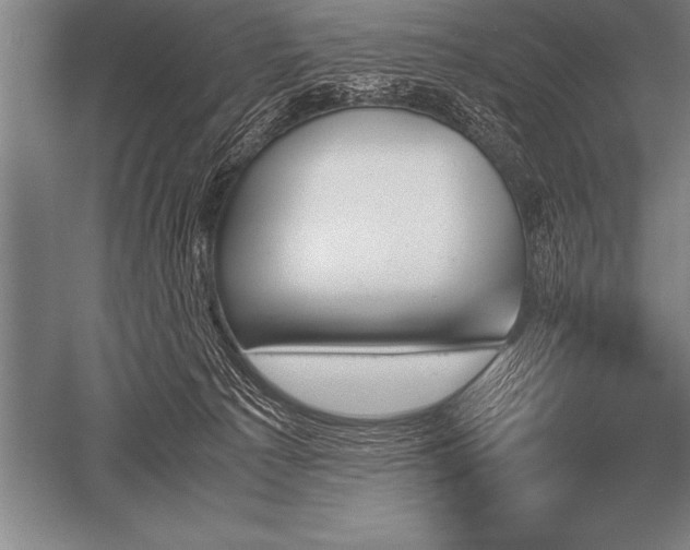 X0000052610225200507081855