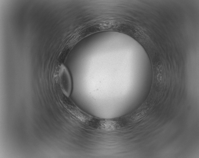 X0000052610226200507081855