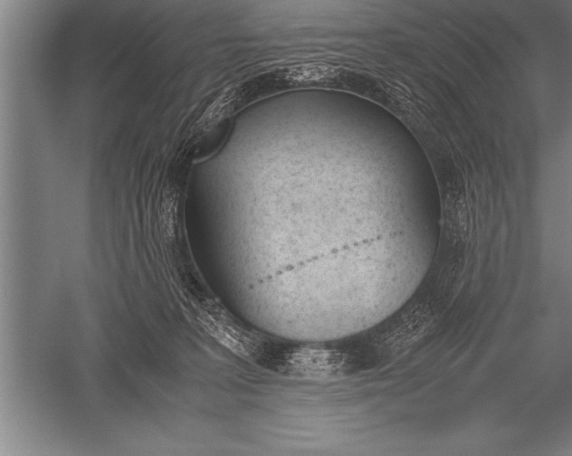 X0000052610227200507081855